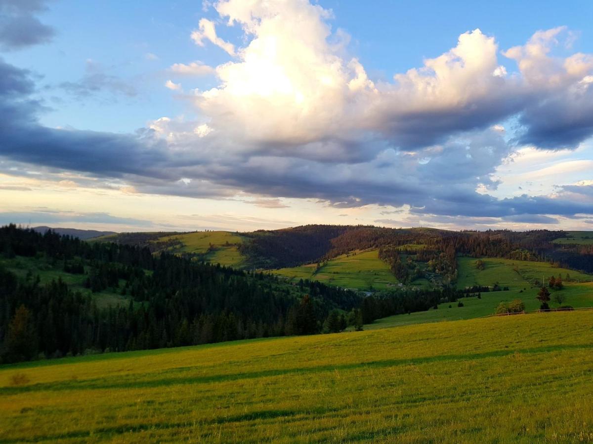 Карпатський Будинок Leilighet Izki Eksteriør bilde