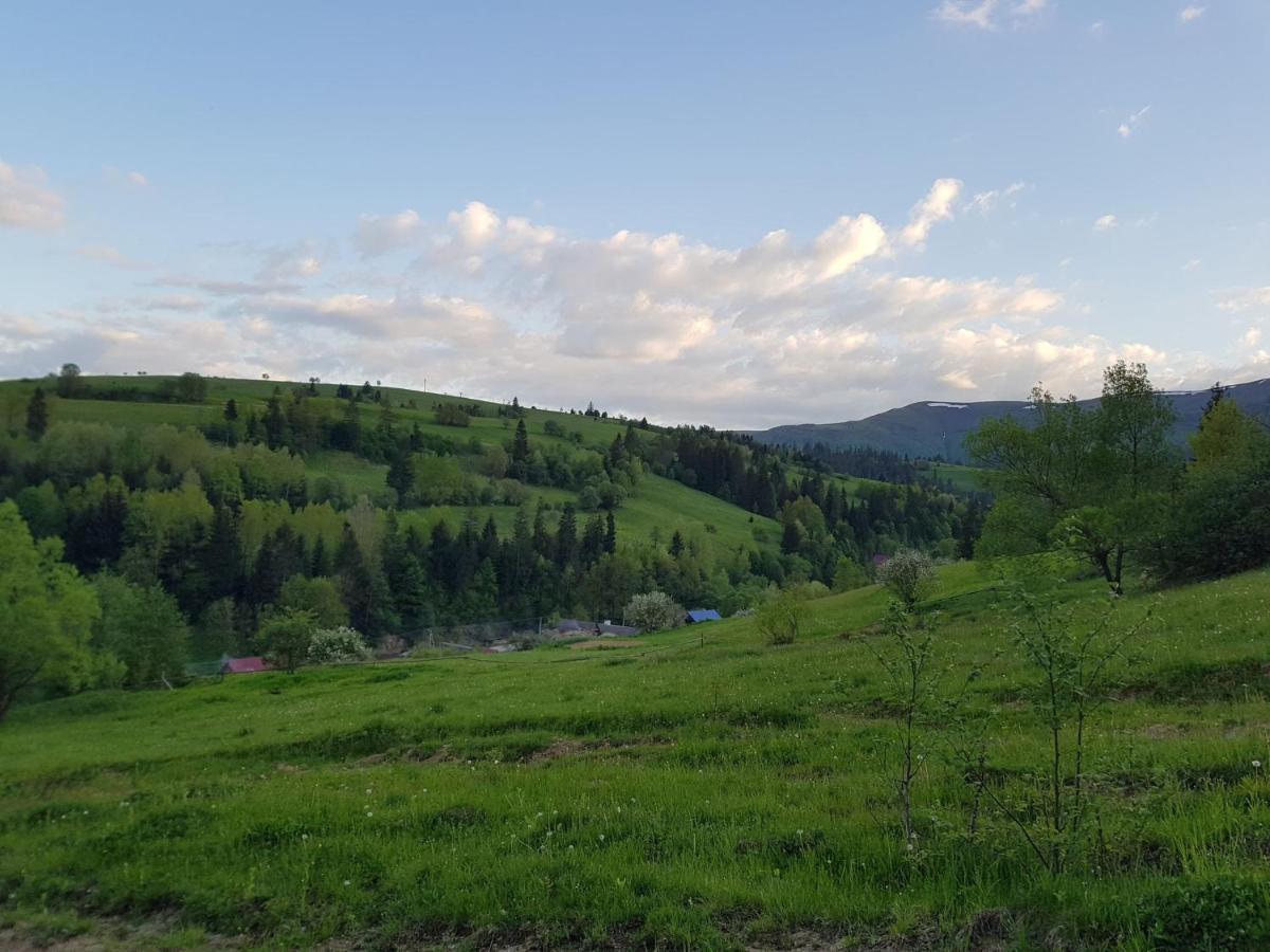 Карпатський Будинок Leilighet Izki Eksteriør bilde