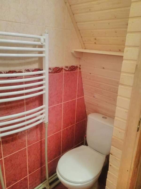 Карпатський Будинок Leilighet Izki Eksteriør bilde