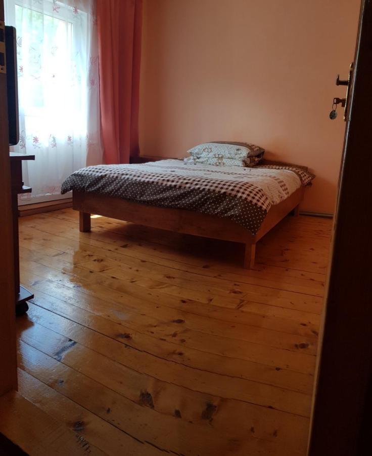 Карпатський Будинок Leilighet Izki Eksteriør bilde